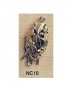 NC18