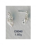 C8040.jpg
