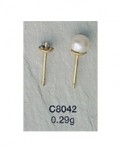 C8042.jpg