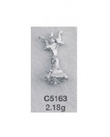 C5163.jpg