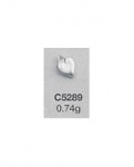 C5289.jpg