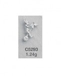 C5293.jpg