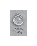 C5260.jpg