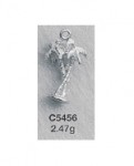C5456.jpg