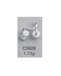 C5629.jpg
