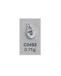C5453.jpg