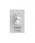 C5620.jpg