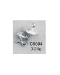 C5894.jpg