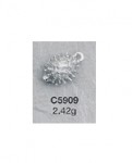 C5909.jpg
