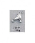 C5541.jpg
