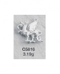 C5816.jpg