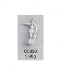 C5820.jpg