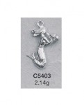 C5403.jpg