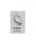 C5822.jpg