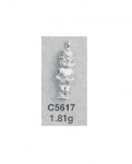C5617.jpg