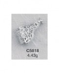 C5818.jpg