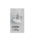 C5888.jpg