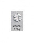 C5809.jpg