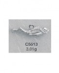 C5513.jpg