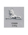 C5559.jpg