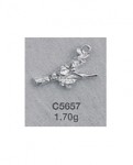 C5657.jpg