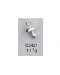 C5421.jpg