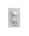 C5619.jpg